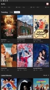 Braflix APK V3.0 3